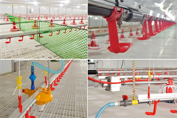 Equipo-de-alimentaci&oacute;n-de-granja-de-granja-de-aves-de-pollo-completamente-autom&aacute;tico-para-plantadoras-de-criadoras-de-parrillas.webp (4)