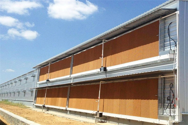 Equipo-de-alimentaci&oacute;n-de-granja-de-granja-de-aves-de-pollo-completamente-autom&aacute;tico-para-plantadoras-de-criadoras-de-parrillas.webp (6)