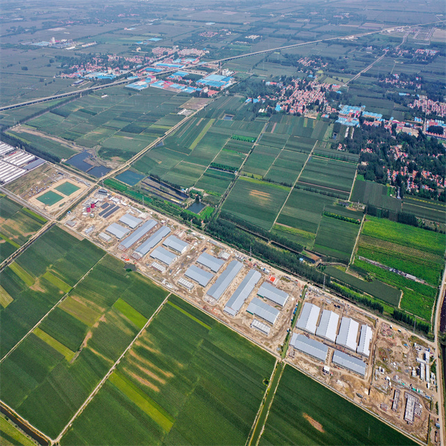 Granja de cerdos con estructura de acero ligero con panel sándwich de PU