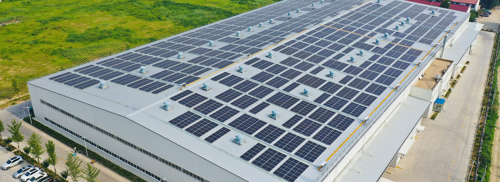 steel structure building