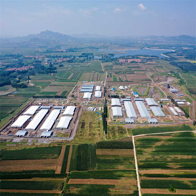 Granja de cerdos con estructura de acero ligero con panel sándwich de PU